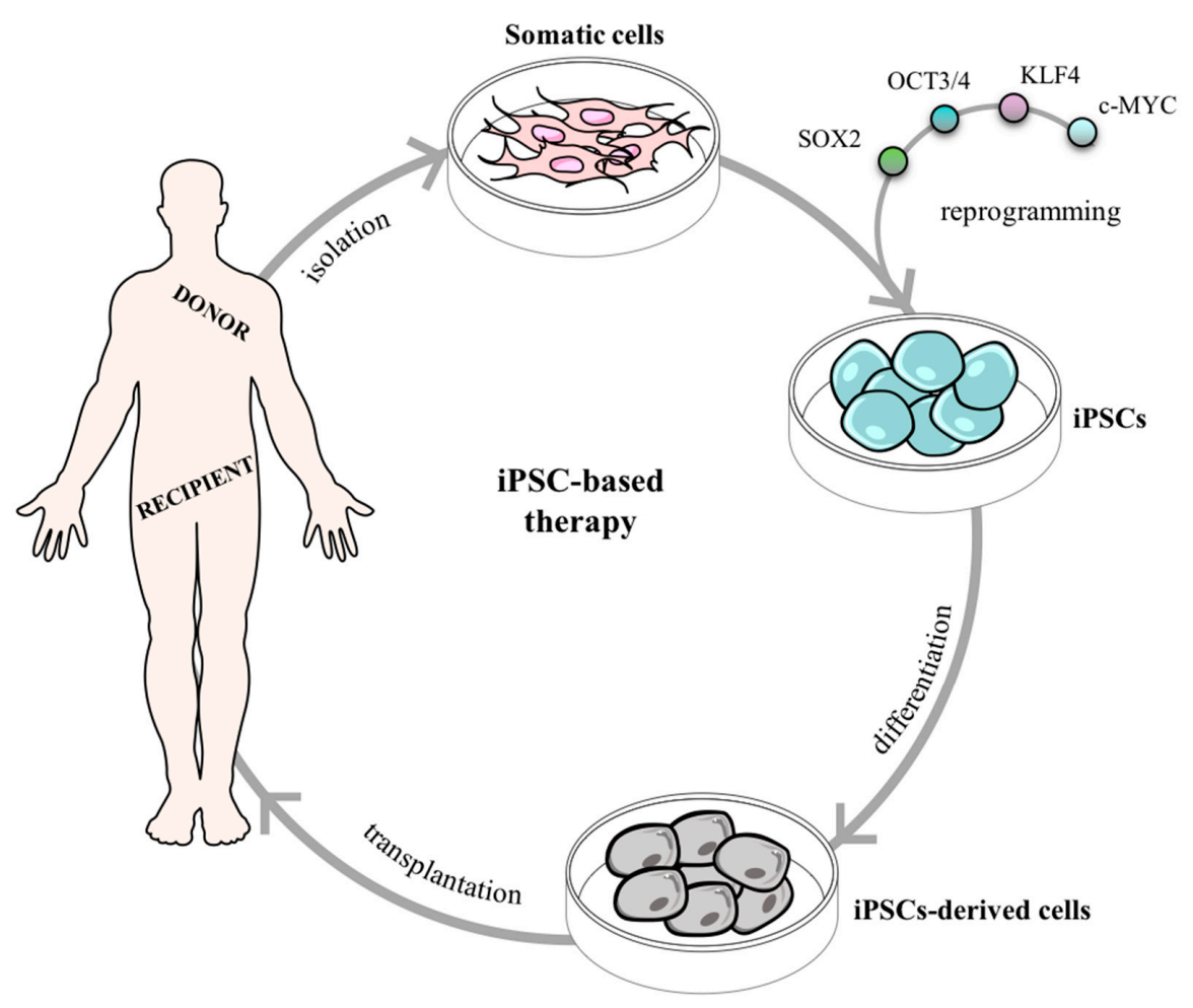 cell_reprogramming
